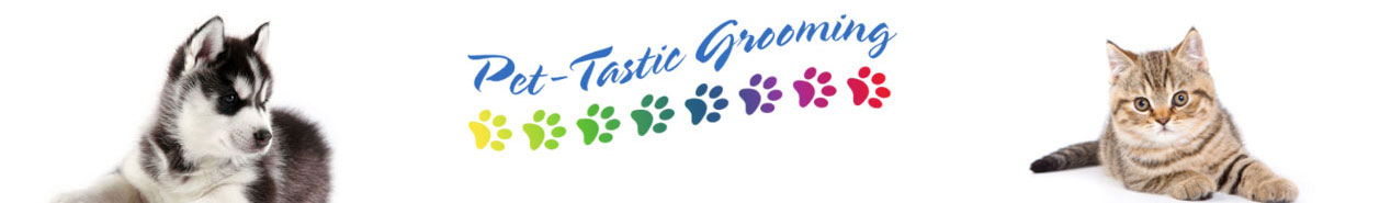 Pet-Tastic Grooming's Blog